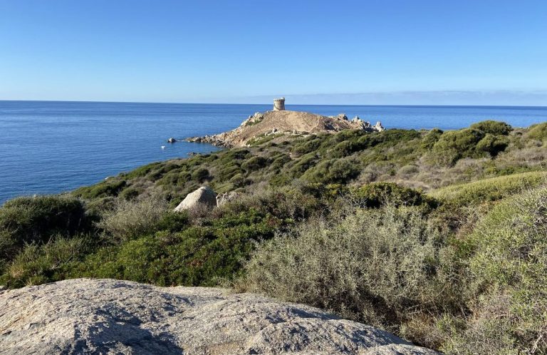 Randonnée à Cargèse Randonnée vers la Tour d’Omigna
