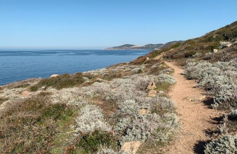 Randonnée pointe de Trio Chemins de randonnées Cargèse