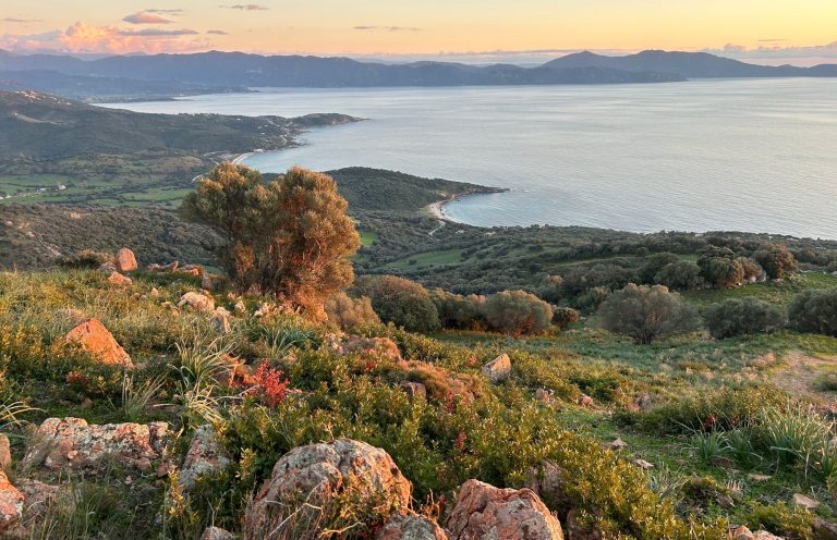 Randonnées à Cargèse Randonnées à Cargèse